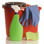 Wellness Challenge #2 – Green Cleaning